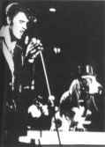 Elvis Presley picture on stage with Hound dog in TV show