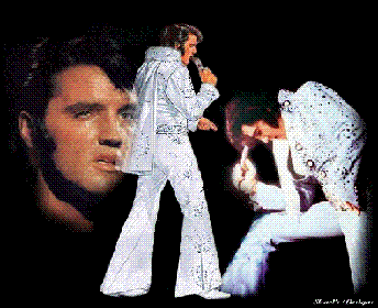 Elvis Tribute DEEPEST LOVE--LOST